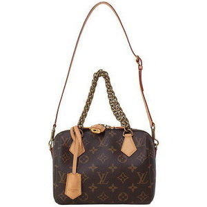 Louis Vuitton Monogram Speedy Chain Bag